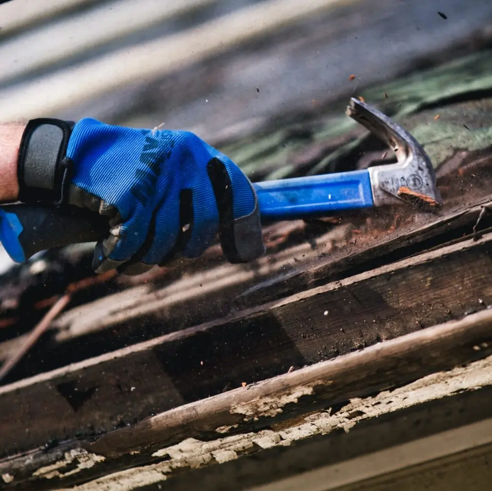 Clean Ups and Repairs deceased estate support